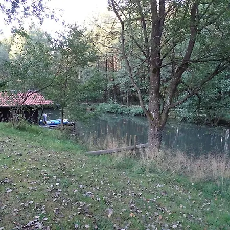 Vakantiehuis Haus Victoria *